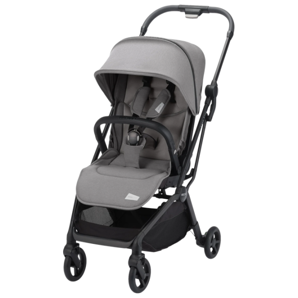 Cărucior pentru copil Recaro Lexa Elite 5619-003/ Gray photo 1