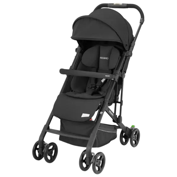 Cărucior pentru copil Recaro Easylife Elite 2 5604-001/ Black photo 1