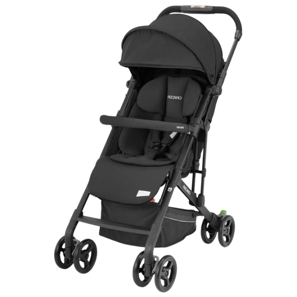 Cărucior pentru copil Recaro Easylife Elite 2 5604-001/ Black photo 1