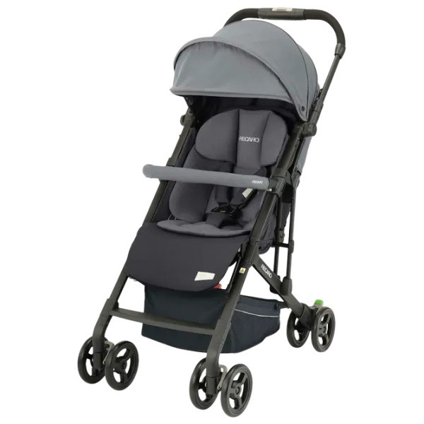 Cărucior pentru copil Recaro Easylife Elite 2 5604-002/ Gray photo 1