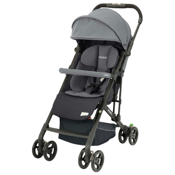 Cărucior pentru copil Recaro Easylife Elite 2 5604-002/ Gray photo 1