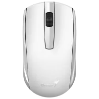 White photo