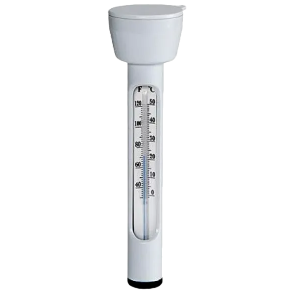 Termometru pentru bazin Intex 29039 White photo 1