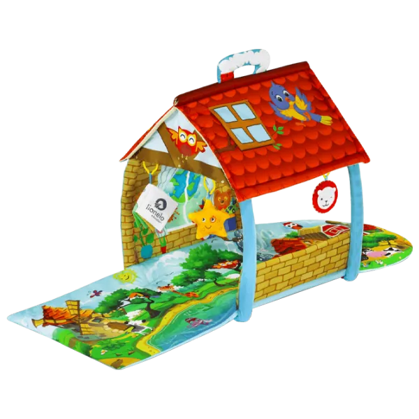 Игровой коврик Lionelo Agnes Plus (03340001) 0+/ Трансформер/ Разноцветный photo 1
