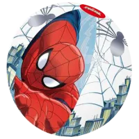 Надувной мяч Intex 98002BW Винил/ Разноцветный