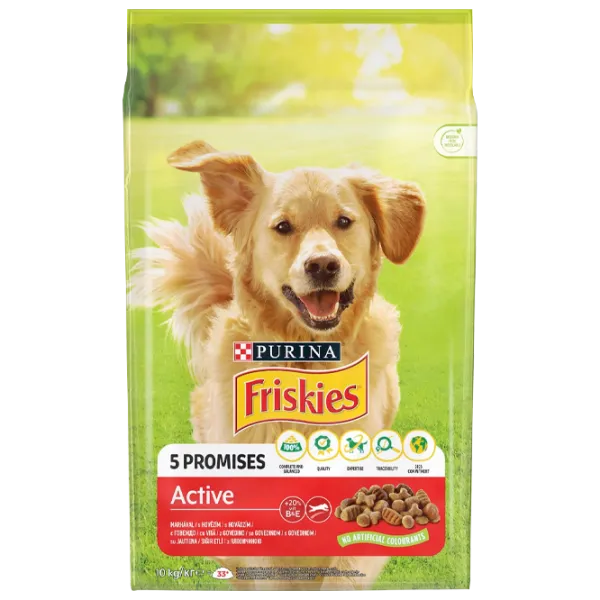 Корм для собак сухой Purina Friskies 7281 10 кг/ Говядина photo 1