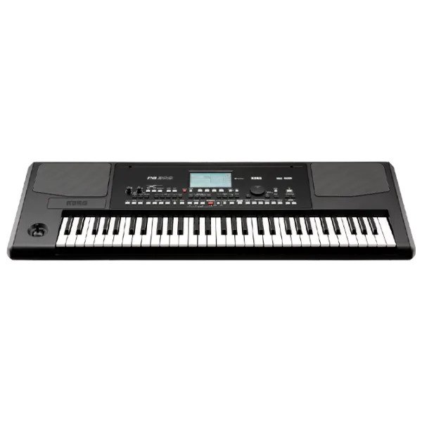 Sintetizator digital Korg PA 300 61 clape/ 128/ Plastic/ Black photo 1