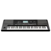Цифровой синтезатор Korg PA 300 61 клавиш/ 128/ Пластик/ Черный