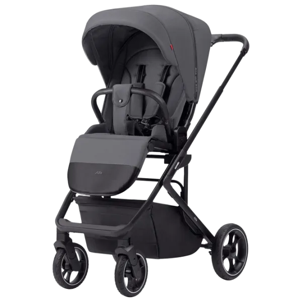 Cărucior pentru copil Carrello Alfa 2023 9870-3/ Graphite photo 1
