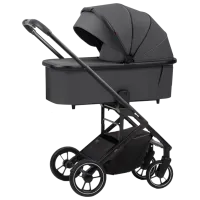 Детская коляска Carrello Alfa 2 in 1 2023 9869-2/ Графитовый
