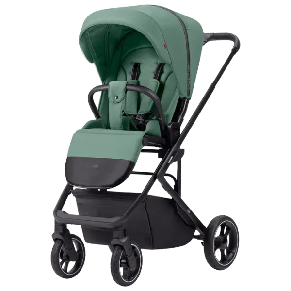 Детская коляска Carrello Alfa 2023 9870-1/ Зелёный photo 1