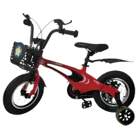 Велосипед TyBike BK-1 Spoke 12" 14" Магниевый сплав/ Красный Черный