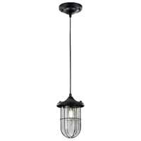 Люстра Trio Birte 40 Вт / 1 цоколь - E14