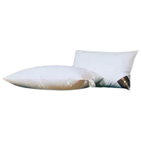 Pernă Trois Couronnes Duchess Normal 390639 Pene de gâscă / 70 x 50 x 20 cm