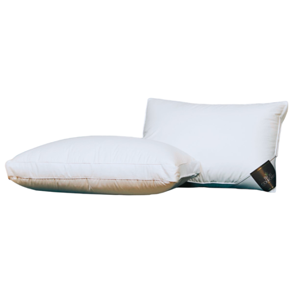 Pernă Trois Couronnes Lotus Plus 3 Chamber Cosy 460552 Puf/ 70 x 50 x 18 cm photo 1 Pernă Trois Couronnes Lotus Plus 3 Chamber Cosy 460552 Puf/ 70 x 50 x 18 cm photo 1