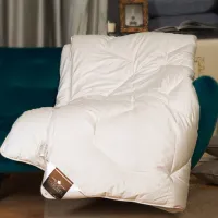 Plapumă Trois Couronnes Climate Control Light 220 x 240 cm