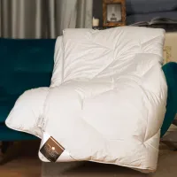 Plapumă Trois Couronnes Zen Medium 155 x 200 cm