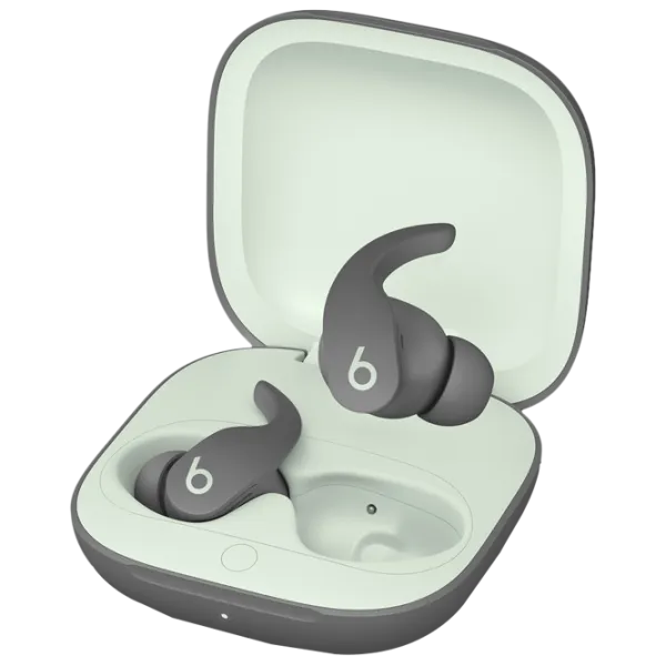Наушники Beats by Dr. Dre Fit Pro Sage Серый Беспроводные/ Персональный photo 1