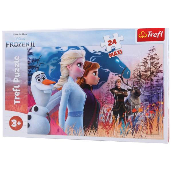 Пазл 2D Trefl Maxi - Magical journey 3+/ Количество деталей: 24 photo 1