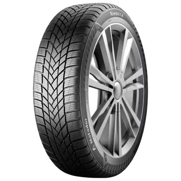 Шины Tourador Winter Pro TSS1 225/ 50 R18 99V XL FR Зимние/ Легковой photo 1