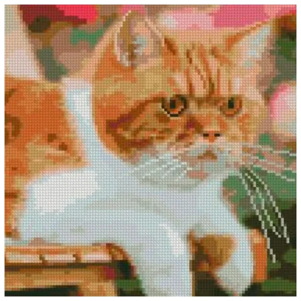 Картина по номерам Strateg Серьезный рыжий кот 30 x 30 см/ Вертикальная photo 1