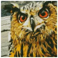 Pictură pe numere Strateg Bufnița CA-0050 30 x 30 cm/ Verticală