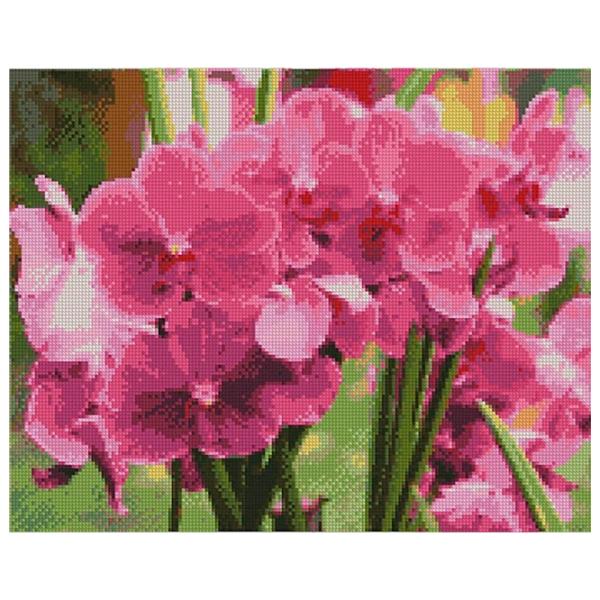 Pictură pe numere Strateg Orhidee viu colorate FA10634 50 x 40 cm/ Orizontală photo 1