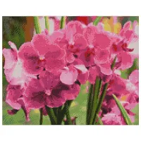 Картина по номерам Strateg Яркие орхидеи FA10634 50 x 40 см/ Горизонтальная