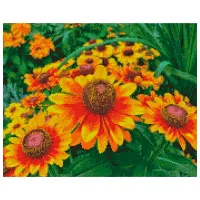 Картина по номерам Strateg Яркие цветы FA40049 50 x 40 см/ Горизонтальная