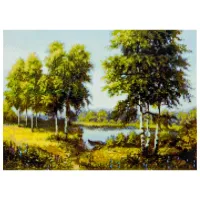 Pictură pe numere Strateg Birch Grove FA40494 50 x 40 cm/ Orizontală