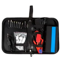 Încărcător auto New Chance NC-MJC04 -