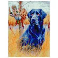 Картина по номерам Strateg Лабрадор на поле HX276 40 x 30 cm/ Вертикальная