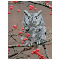 Картина по номерам Strateg Сова на ветке HX304 40 x 30 cm/ Вертикальная