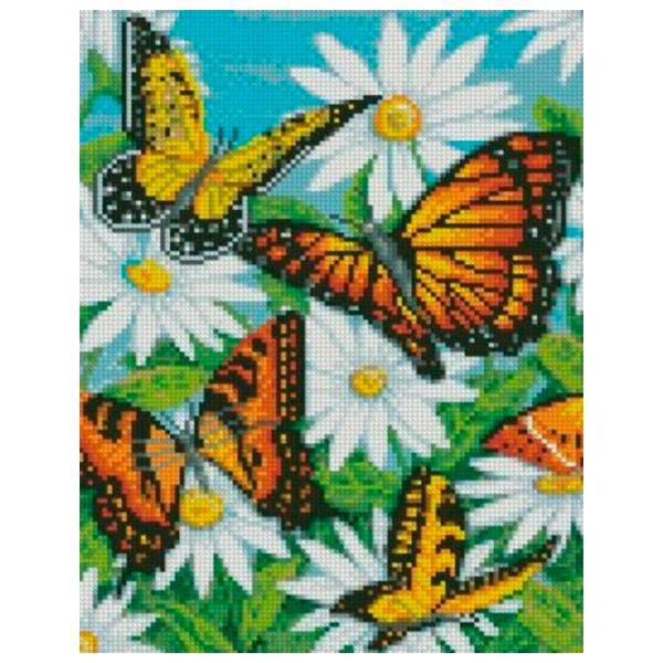 Pictură pe numere Strateg Fluturi pe o margaretă HX419 40 x 30 cm/ Verticală photo 1
