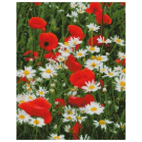 Картина по номерам Strateg Маки и ромашки HX423 40 x 30 cm/ Вертикальная photo 1 Картина по номерам Strateg Маки и ромашки HX423 40 x 30 cm/ Вертикальная photo 1