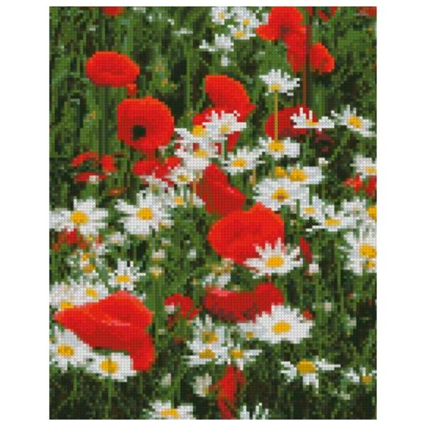 Картина по номерам Strateg Маки и ромашки HX423 40 x 30 cm/ Вертикальная photo 1 Картина по номерам Strateg Маки и ромашки HX423 40 x 30 cm/ Вертикальная photo 1