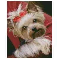 Pictură pe numere Strateg Un câine cu coadă HX438 50 x 40 cm/ Verticală