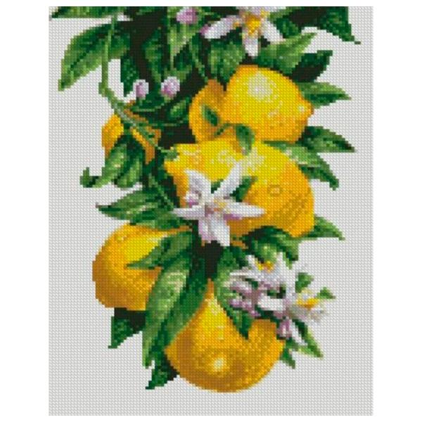 Картина по номерам Strateg Лимоны HX440 50 x 40 км/ Вертикальная photo 1