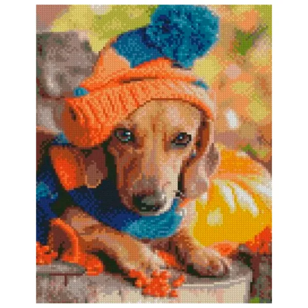 Pictură pe numere Strateg Teckelul cu căciulă HX459 50 x 40 cm/ Verticală photo 1 Pictură pe numere Strateg Teckelul cu căciulă HX459 50 x 40 cm/ Verticală photo 1