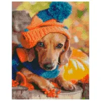 Pictură pe numere Strateg Teckelul cu căciulă HX459 50 x 40 cm/ Verticală