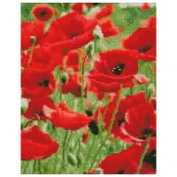 Картина по номерам Strateg Маковое поле HX462 50 x 40 км/ Вертикальная