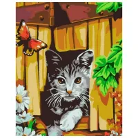 Pictură pe numere Strateg Motan si fluture SS-6451 40 x 30 cm/ Verticală