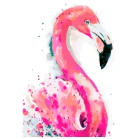 Pictură pe numere Strateg Flamingo de aqurela SY6337 50 x 40 cm/ Verticală