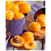 Картина по номерам Strateg Aбрикосы VA-3573 50 x 40 км/ Вертикальная