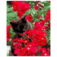 Картина по номерам Strateg Кот в красных цветах VA-3593 50 x 40 км/ Вертикальная