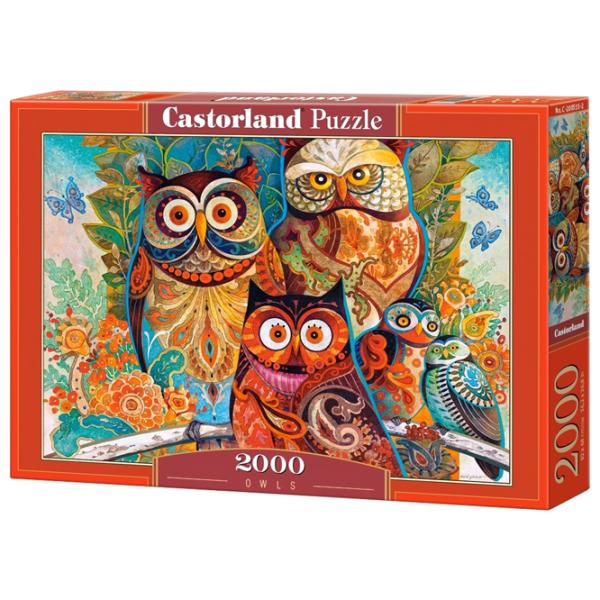 Пазл 2D Castorland Owls 9+/ Количество деталей: 2000 photo 1