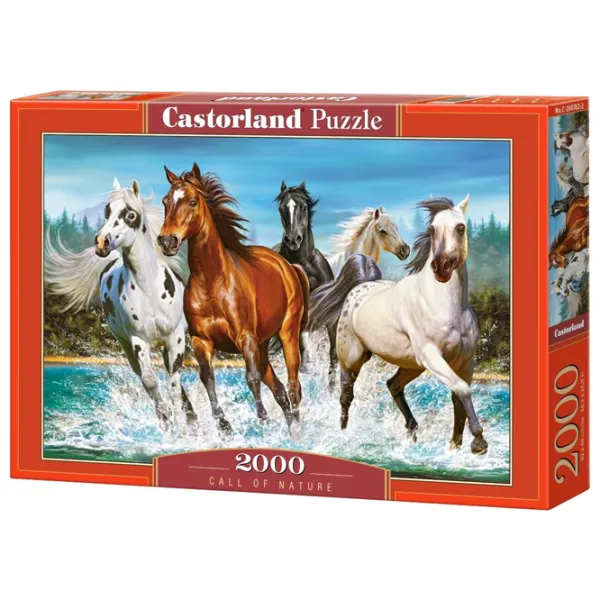 Puzzle 2D Castorland Call of Nature 9+/ Numărul de piese: 2000 photo 1