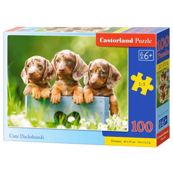 Puzzle 2D Castorland Cute Dachshunds 6+/ Numărul de piese: 100 photo 1