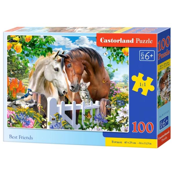 Puzzle 2D Castorland Best Friends 6+/ Numărul de piese: 100 photo 1