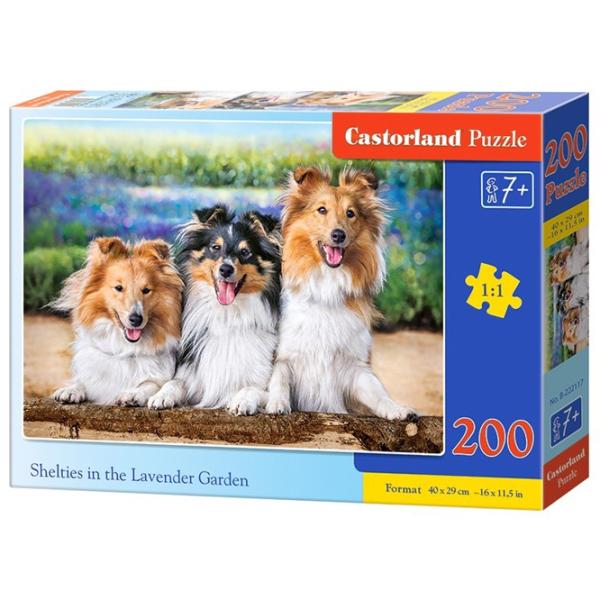 Puzzle 2D Castorland Shelties in the Lavender Garden 7+/ Numărul de piese: 200 photo 1